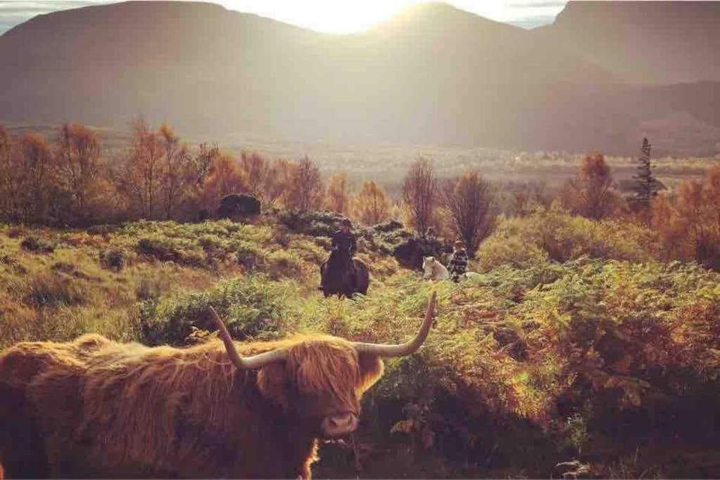 Wild Nurture Eco Luxury Offgrid Log Cabin Fort William Zewnętrze zdjęcie