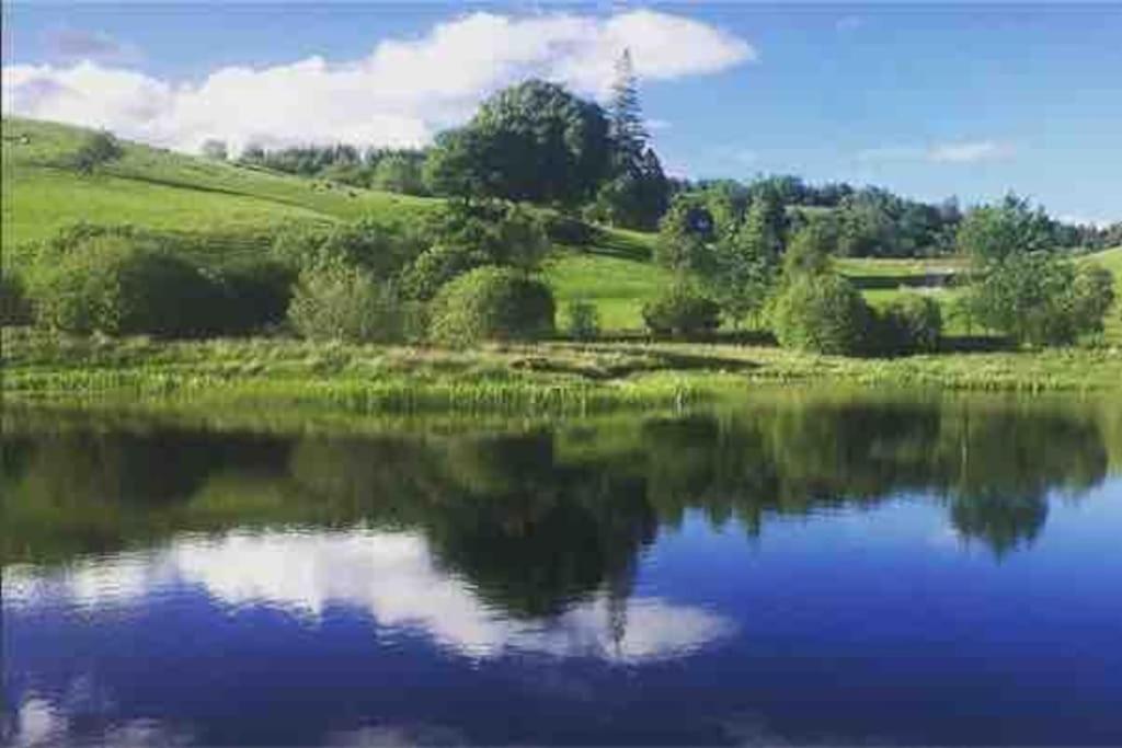 Wild Nurture Eco Luxury Offgrid Log Cabin Fort William Zewnętrze zdjęcie