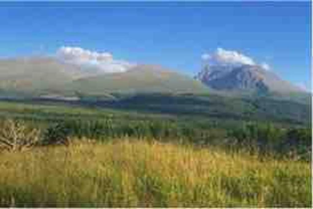 Wild Nurture Eco Luxury Offgrid Log Cabin Fort William Zewnętrze zdjęcie