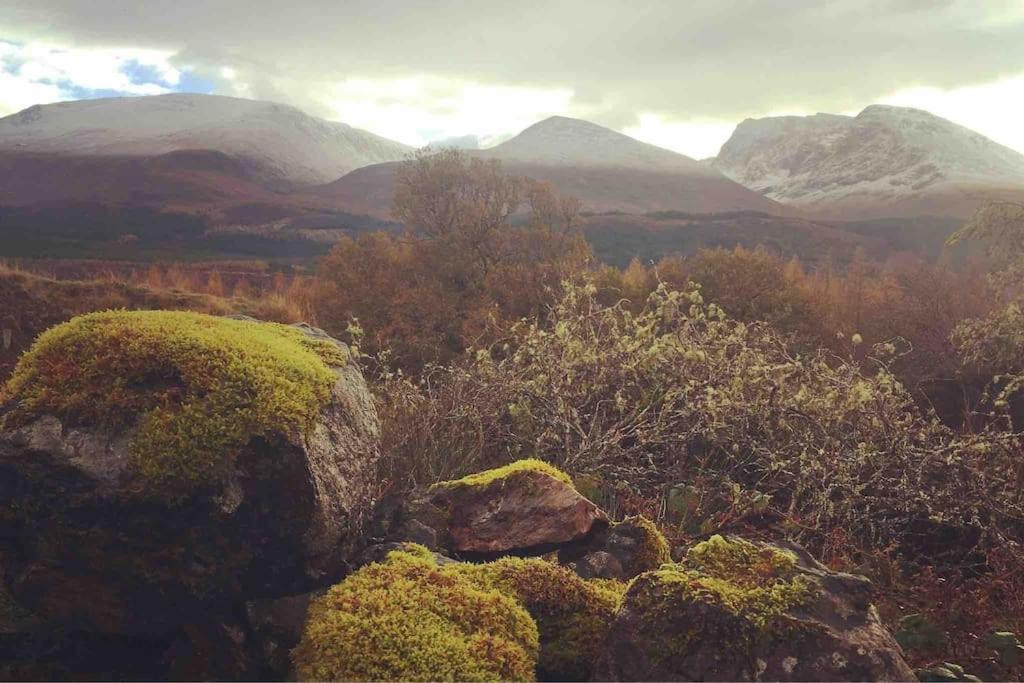 Wild Nurture Eco Luxury Offgrid Log Cabin Fort William Zewnętrze zdjęcie