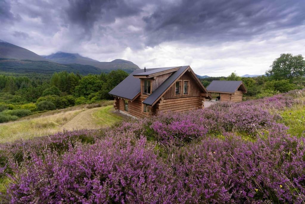 Wild Nurture Eco Luxury Offgrid Log Cabin Fort William Zewnętrze zdjęcie