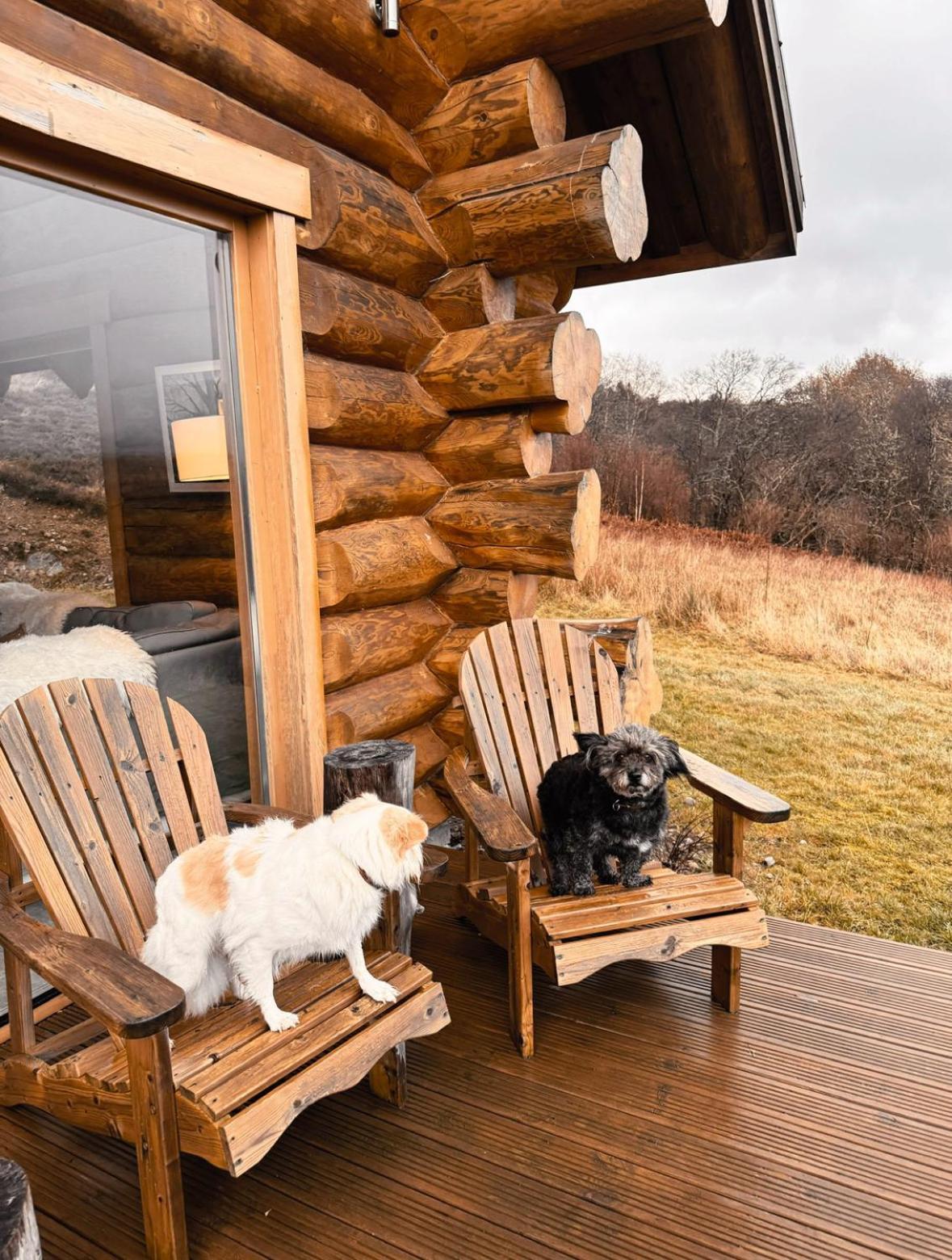Wild Nurture Eco Luxury Offgrid Log Cabin Fort William Zewnętrze zdjęcie